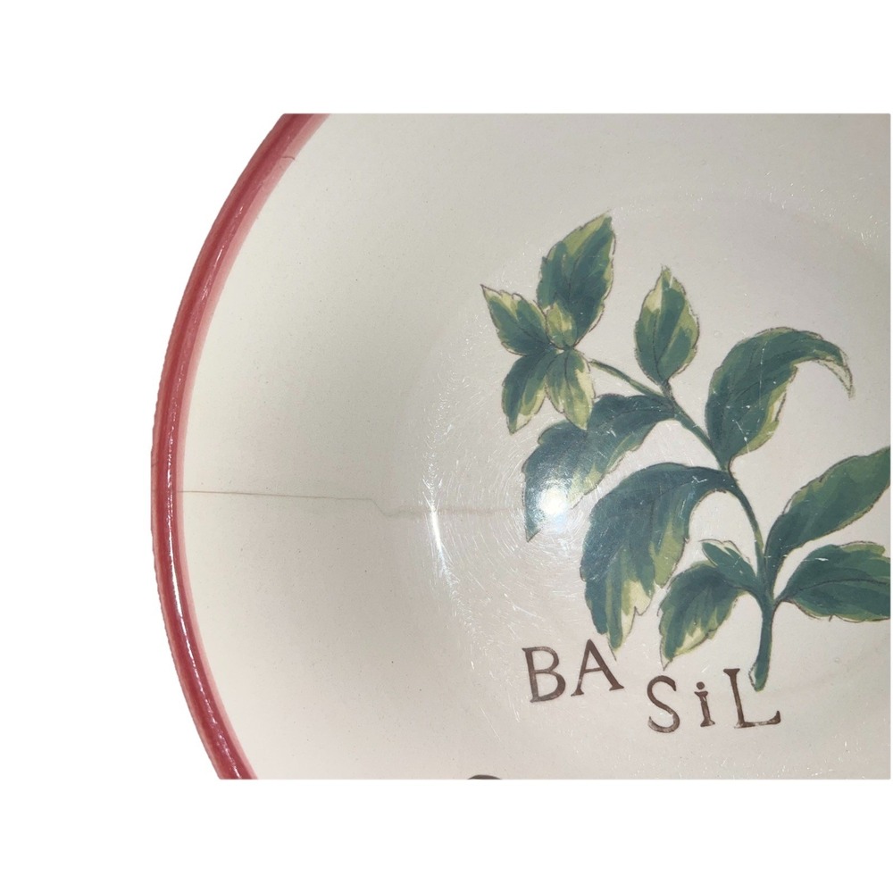 Williams Sonoma pasta bowls 9" Set Of 2 Read - Picture 2 of 6